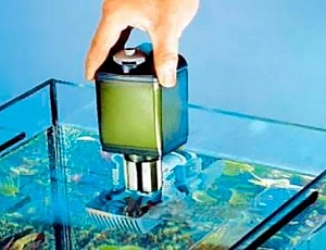 Die 10 besten Aquarienfilter