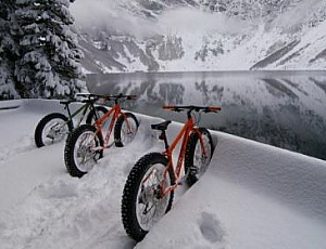 Die 6 besten Fatbike-Hersteller