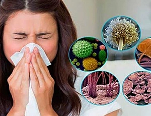 Die 15 besten Heilmittel gegen Allergien