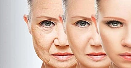 Die 15 besten Anti-Aging-Kosmetikmarken