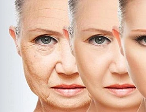 Die 15 besten Anti-Aging-Kosmetikmarken