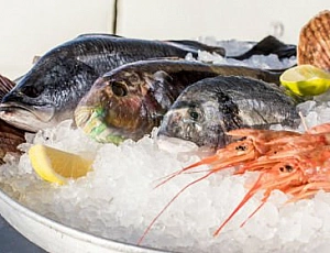 Die 10 besten Fischrestaurants in Moskau