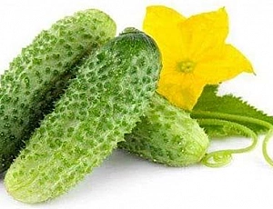 10 meilleures variétés de cornichons