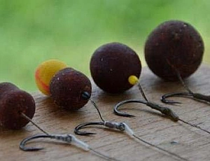 Die 10 besten Boilies für Karpfen