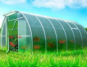 Die 10 besten Unternehmen für Polycarbonat-Gewächshäuser