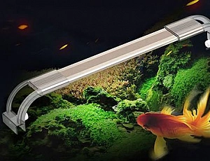 Die 10 besten Aquarienleuchten von Aliexpress