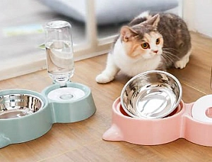 Die 10 besten automatischen Tränken für Katzen und Hunde von AliExpress