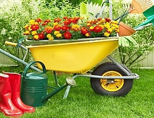 Die 10 besten Garten- und Bauschubkarren