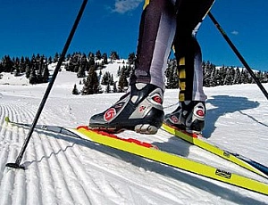 Top 10 Online-Skishops