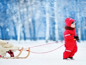 Die 10 besten Schlitten für Kinder