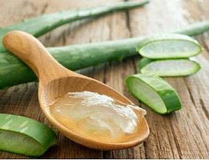 Die 10 besten Aloe-Gele