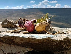 Die 10 besten peruanischen Maca-Zubereitungen mit iHerb