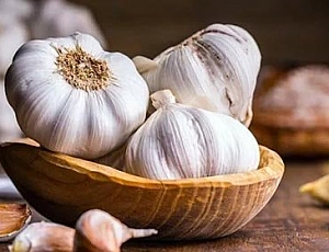 Die 20 besten Knoblauch-Ergänzungen bei iHerb