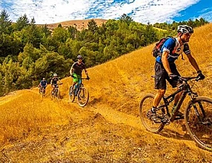 10 beste Mountainbikes für Preis und Qualität