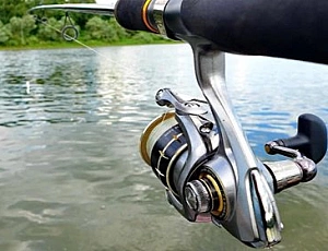 Top 5 Daiwa-Rollen