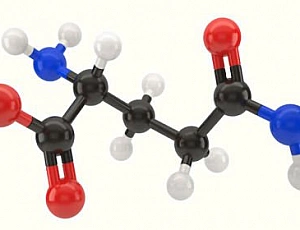 Die 10 besten Aminosäurekomplexe auf iHerb