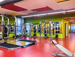 Die 20 besten professionellen Fitnessgeräte