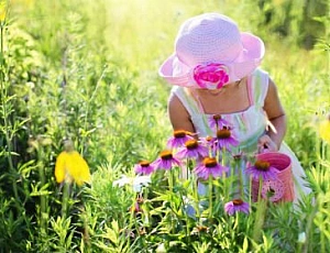 Die 10 besten Echinacea-Produkte für Kinder bei iHerb