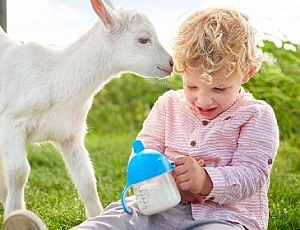 5 meilleures formules de lait de chèvre