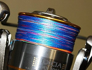 Top 10 Tipps zur Auswahl von Spinning Braid