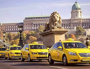 Die 10 besten Taxidienste in St. Petersburg