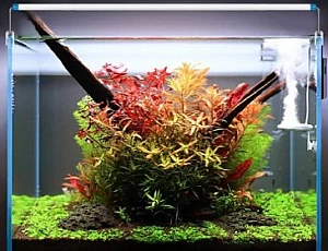 20 meilleurs produits d'aquarium d'Aliexpress