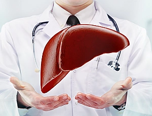 Die 12 besten Hepatoprotektoren für die Erholung der Leber