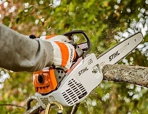 Die beste Motorsäge für zu Hause – Stihl, Husqvarna, Makita oder Champion?